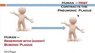 Disease transmission part one