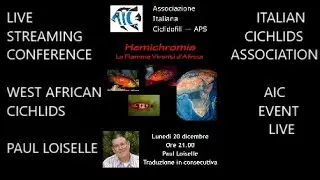 PAUL LOISELLE *HEMICHROMIS Africa's Living Flames* AIC EVENT LIVE* West African Cichlids Conference