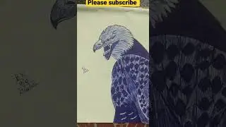 Hyperrealistic eagle sketch | pen sketch | how to draw #shorts #viral #ytshorts #trending