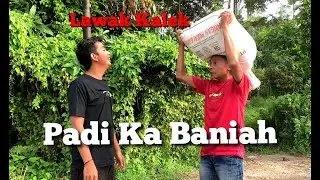 Padi Ka Baniah