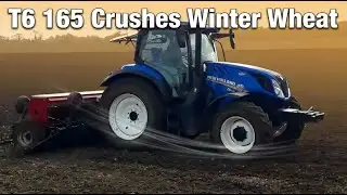 Experience Norfolk Farming: The POWERFUL New Holland T6 165 Takes on Winter Wheat!