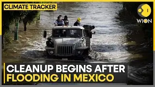 Mexico City Saw One of the Heaviest Rainfall in Decades | WION Climate Tracker