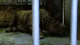 TAMA ZOO 4 no sound (art experiment)