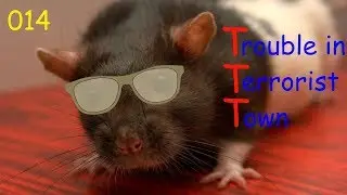 Trouble in Terrorist Town [014] 🐹 Rats Kitchen | Let's Play TTT | Gameplay | German