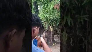 pcp air rifle power!!