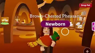Adopt me Roblox. Осенняя погода. Фазан и Барсук./ Fall weather update. Pheasant and Badger.
