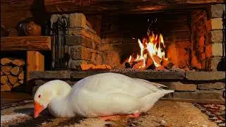 Ambient Fireplace with Sleeping Goose