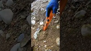Treasure Hunting in River with Metal Detector #viralshorts #metaldetecting #treasurehunting