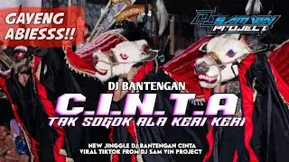 DJ BANTENGAN C. I. N. T. A D'BAGINDAS VIRAL TIKTOK FROM DJ SAM VIN PROJECT