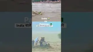 India 🇮🇳 vs Pakistan 🇵🇰 flood real conditions #india #pakistan #rain #flood #army #police #ndrf