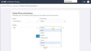 8x8 get more Phone Numbers