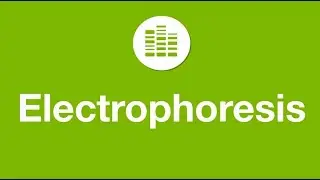 How to achieve faster, simpler, more efficient nucleic acid electrophoresis
