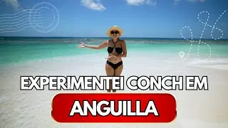 ANGUILLA: Uma Experi&ecirc;ncia Aut&ecirc;ntica no Aclamado Tasty's POV!