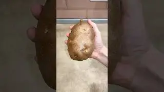 Potato party! 🥳