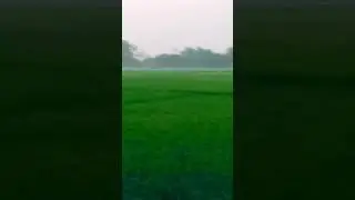 Amader Gramin beautiful view #new  #video  #beautiful