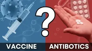 Vaccine or antibiotics? The quick answer you need!