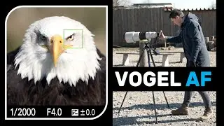 Vogel-Augen-Autofokus &ndash; Sony Alpha 1 {Review & Test} 🦅 📷