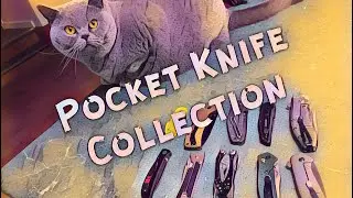Pocket Knife Collection - EDC - June 2017 - Best Its Ever Been!