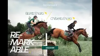 Our new REMARKABLES saddles.