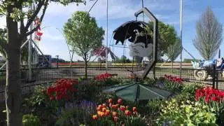 Scenes from Tulip Town