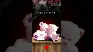 Teddy Day Status | 10 February | New full Screen WhatsApp Status