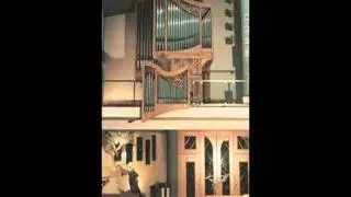 Gian Vito Tannoia plays J.S. Bach - Fantasia super Komm, Heiliger Geist Bwv 651