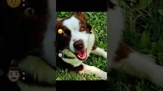 Моя токсичная бывшая жена часть 8