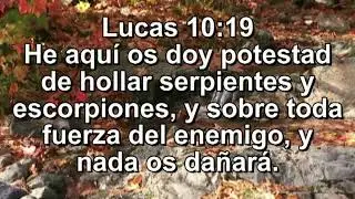 Lucas 10:19,He aqu&iacute; os doy potestad de hollar serpientes , Vers&iacute;culos y musica de Armando Gamez