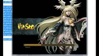 vsro alchemy tool delirus 2017