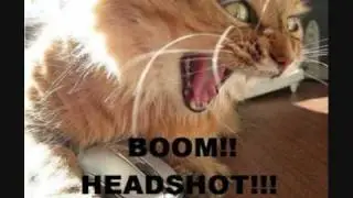 The Best of LOLCATS!! [very funny]