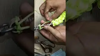Nudo de tornillo