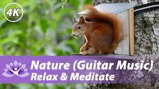 Relaxing guitar music with 4K Nature Scenes to help you sleep, chill out or meditate.