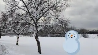 Snow Pal Building!