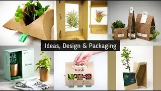 Everyday Design - Green Plants Packaging Ideas & Design - Hacks