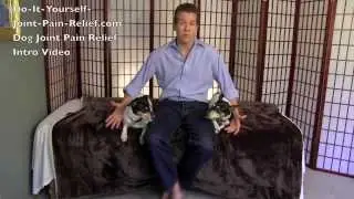 Dog Joint Pain Relief Intro Video