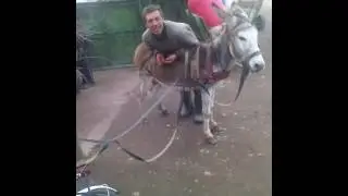 Foica generalul Izbiceni lovește din nou!  Soc soc soc razi de mori