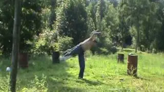 uberninja flips tricks