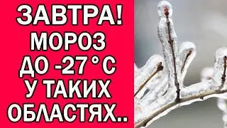 ПОГОДА НА ЗАВТРА 6 ЛЮТОГО 2026 : ПОГОДА НА ЗАВТРА В УКРАЇНІ