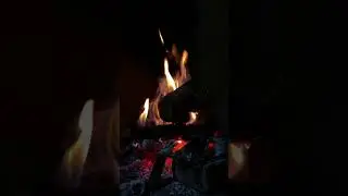 Pure Crackling Fire ASMR 🔥