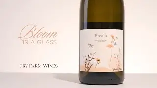 Floral Aromas in Wine: Imagination or Real?