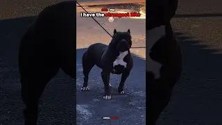 They Have Strongest Bite ☠️🥶,The last one ☠️