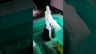 Lost Souls of Atlantis - Hologram Statue (3)