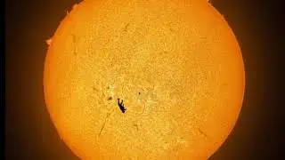 Skydiver Silhouetted Against the Sun in Unprecedented Photograph