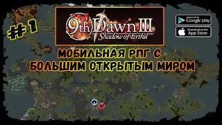 Начало приключения ★ 9th Dawn III ★ Прохождение за мага #1