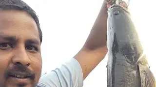 Big snake head fish catch him #fishing #fishingvideo 🐠🐠🐟🐟
