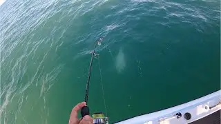 Jigging Pelagic's at Wiligi, Arnhem Land - Day 4