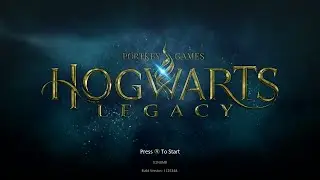 Hogwarts Live Stream. Final push to finish the main story.
