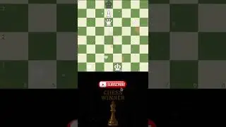What Is the Solution? ♟️🔥 | Chess Winner #chess #shorts #checkmate #brilliant
