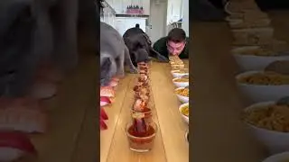 Speed vs Hunger &ndash; Food War! #Cat #Dog #EatingChallange #Food #Pets