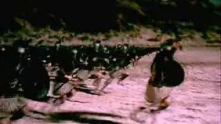WAR: Destruction and Death